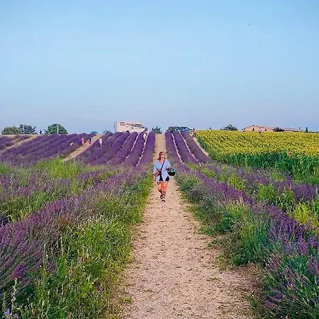 Ame Concept * Valensole